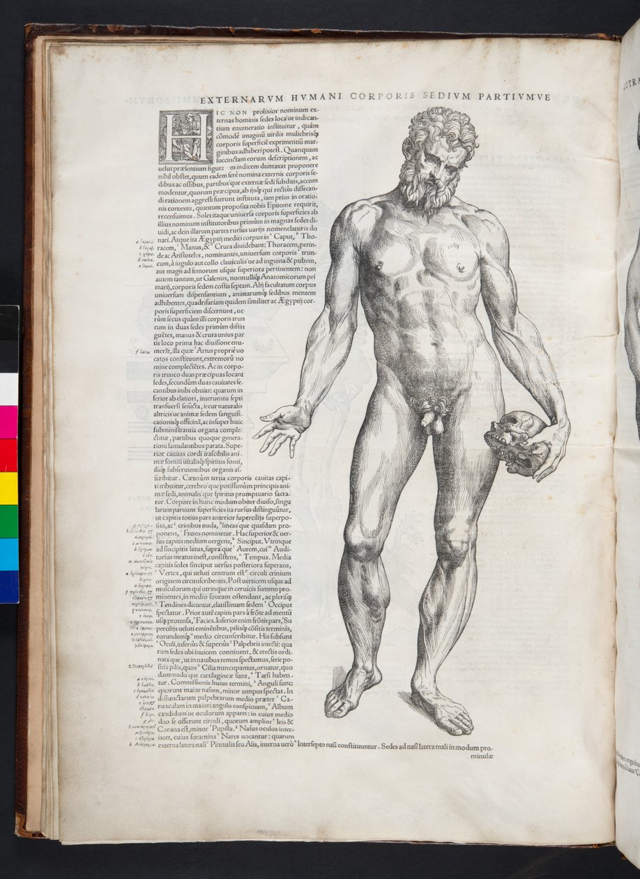 Hercules, illustrasjon fra 