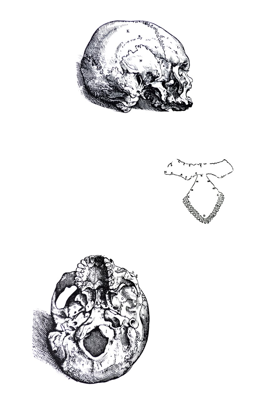 Platene fra den første boken til De Humani Corporis Fabrica av Andreas Vesalius