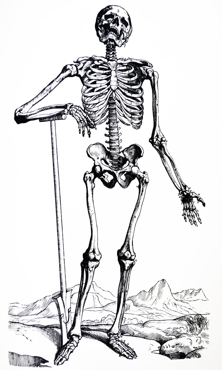 Platene fra den første boken til De Humani Corporis Fabrica av Andreas Vesalius