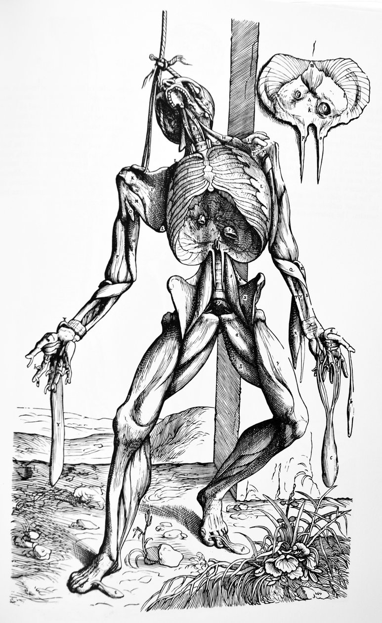 Platene fra den andre boken til De Humani Corporis Fabrica av Andreas Vesalius