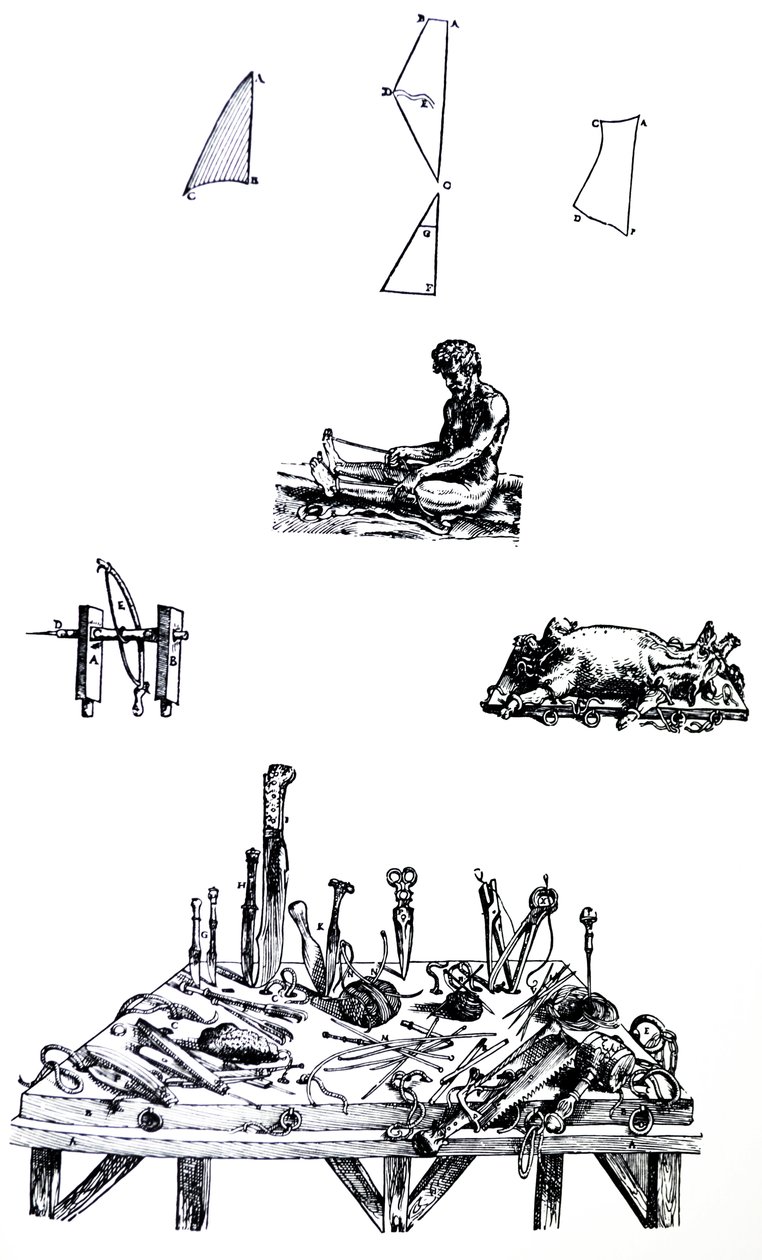 Platene fra den andre boken til De Humani Corporis Fabrica av Andreas Vesalius