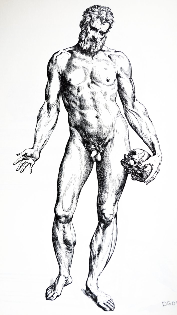 Platene fra den syvende boken til De Humani Corporis Fabrica av Andreas Vesalius