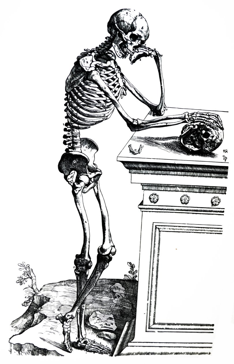 Platene fra den syvende boken til De Humani Corporis Fabrica av Andreas Vesalius