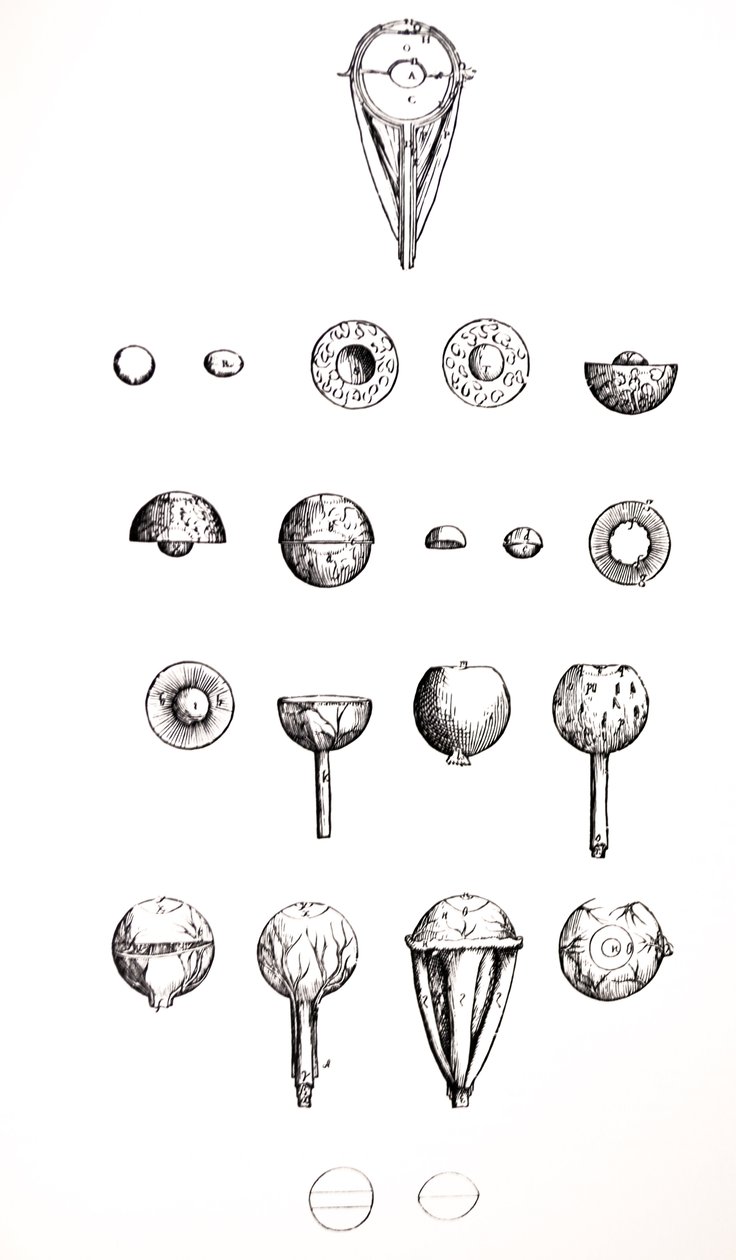 Platene fra den syvende boken til De Humani Corporis Fabrica av Andreas Vesalius