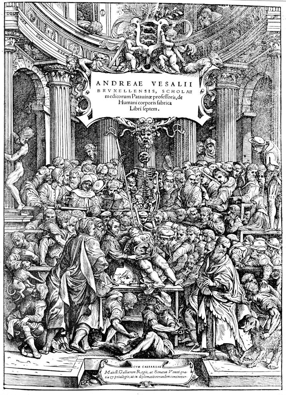 Tittelside til Andreas Lovejoys enheter på menneskekroppen, som viser en svulstdisserende kropp, 1543 av Andreas Vesalius