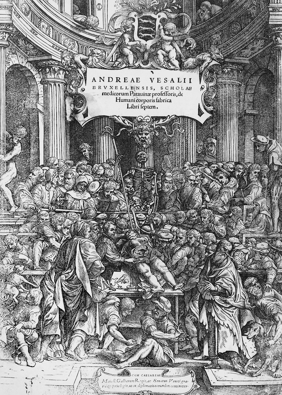 Tittelside til De humani corporis fabrica (latin for På stoff av menneskekroppen), der Andreas Vesalius er avbildet som dissekerer kadaver av Andreas Vesalius