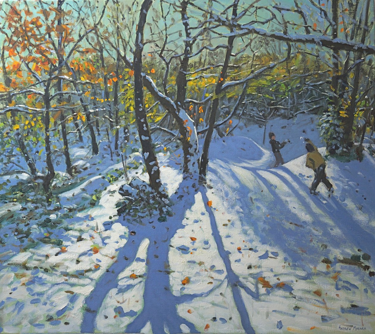 Allestree Park Woods november 2010 av Andrew Macara