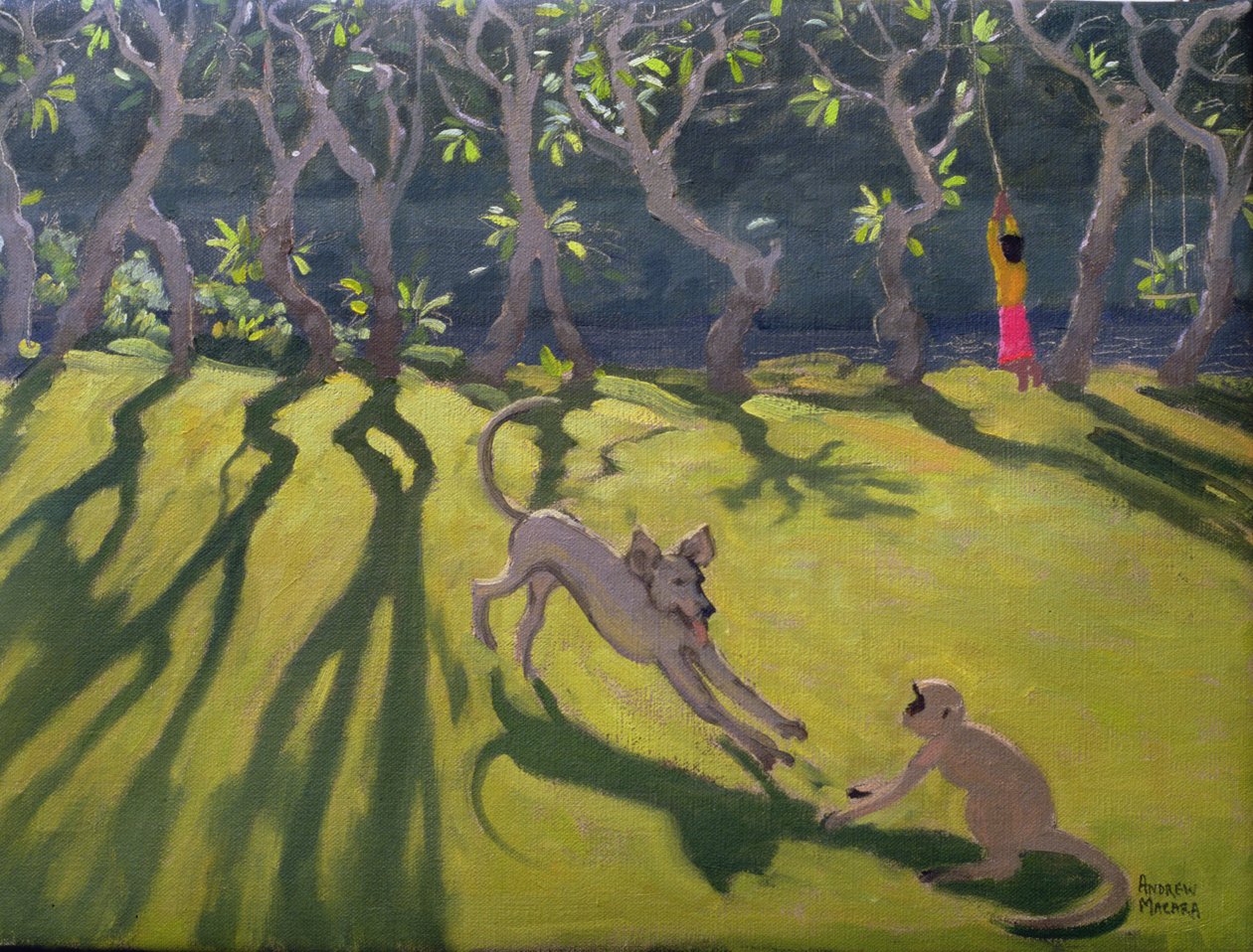 Hund og ape, Sri Lanka, 1998 av Andrew Macara