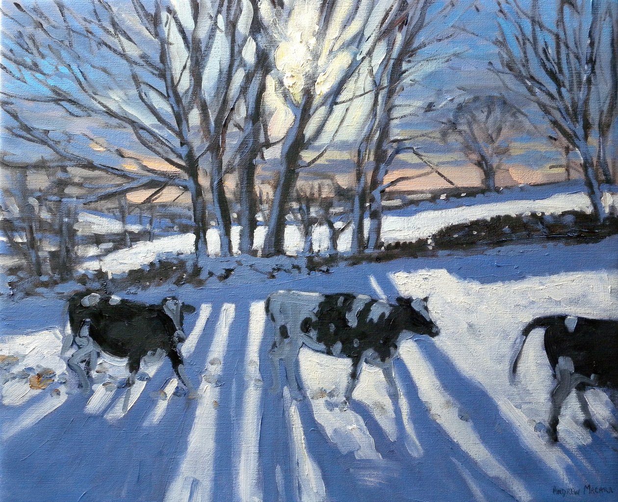 Frisiske kyr, 2009 av Andrew Macara