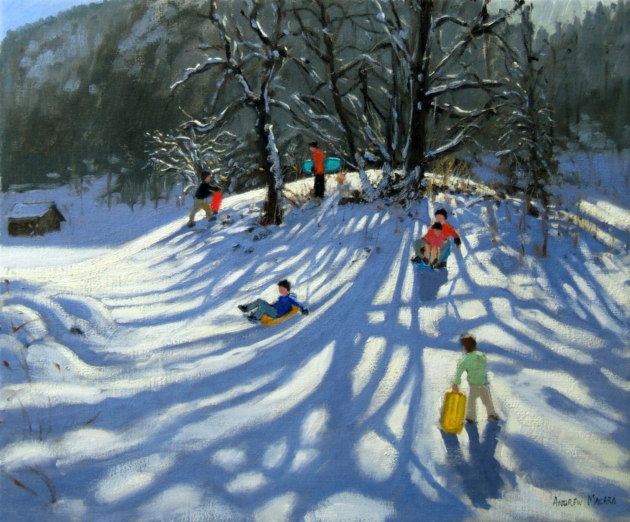 Moro i snøen, Morzine, Frankrike av Andrew Macara