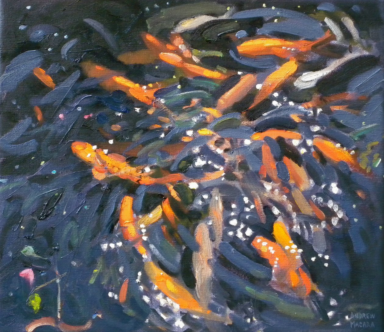 Gullfisk, 2010 av Andrew Macara