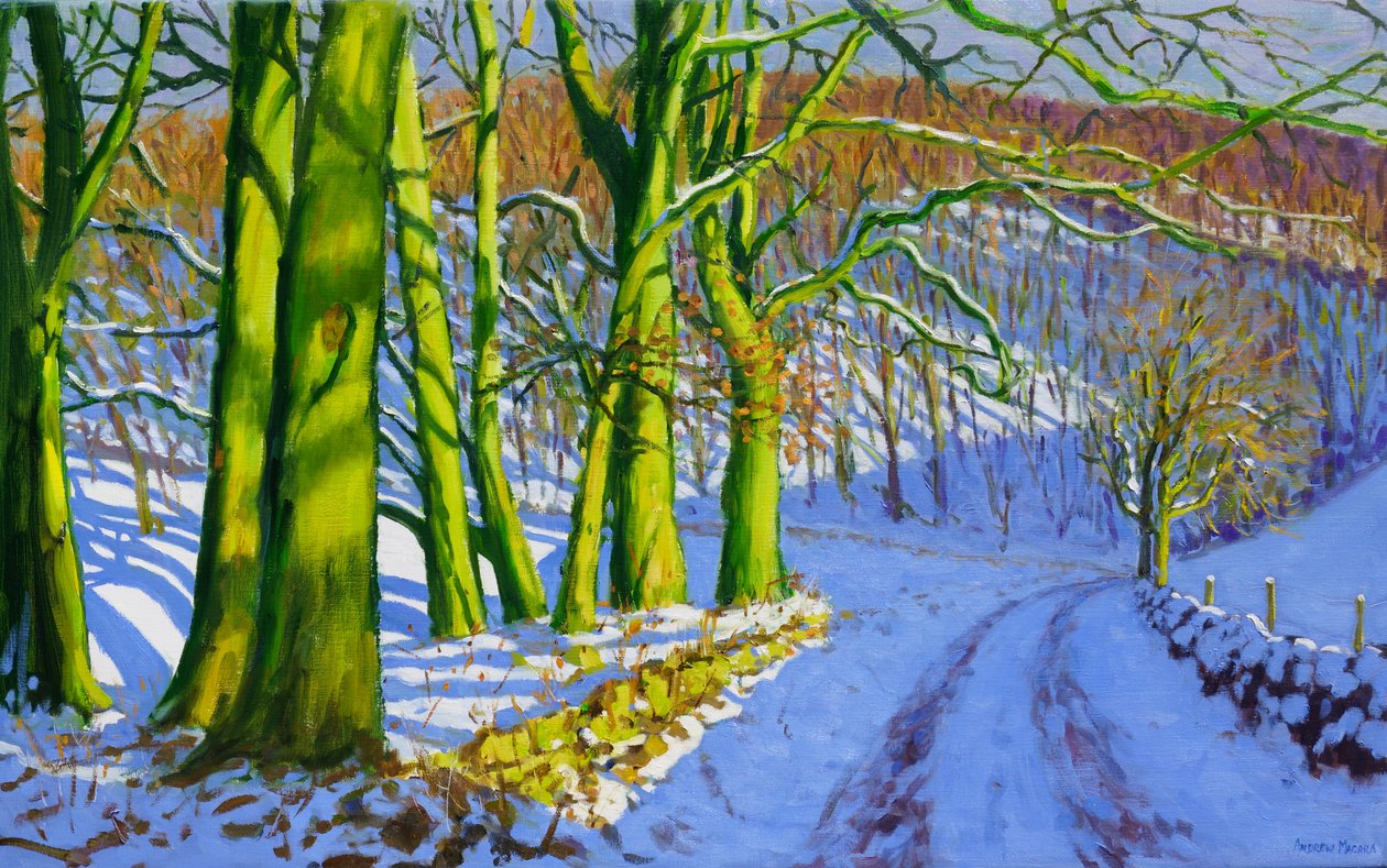 Grønne trær, vinter; Dam Lane; Derbyshire, av Andrew Macara