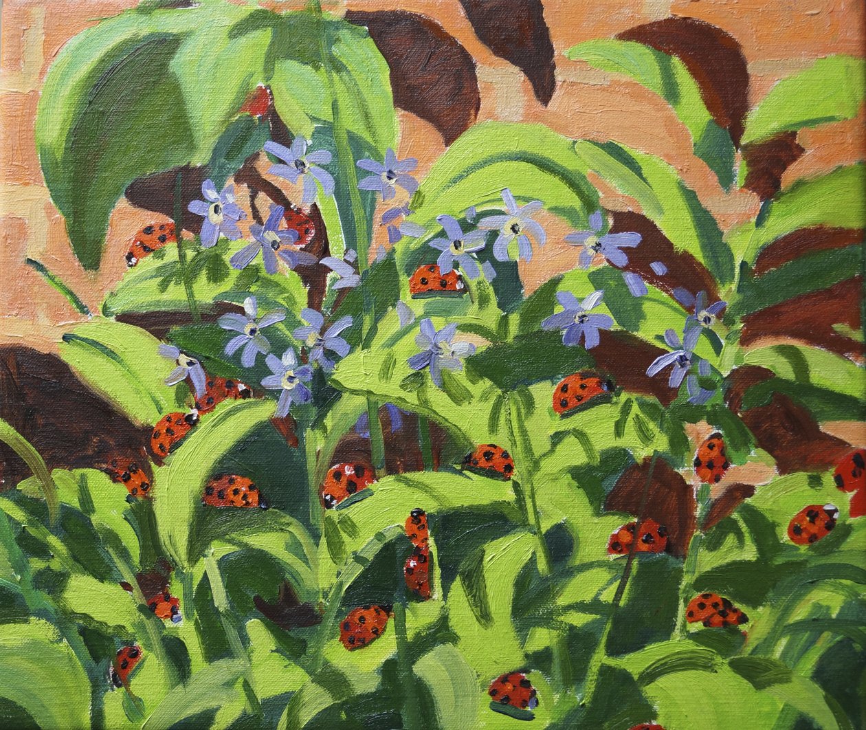 Ladybirds, 2013 av Andrew Macara