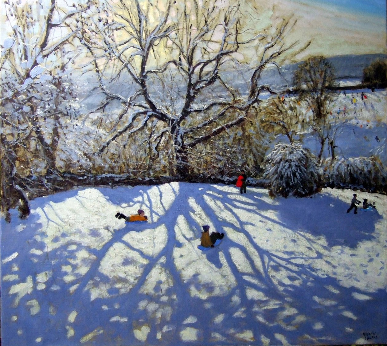 Stort tre og akebrett, Youlgreave, Derbyshire av Andrew Macara