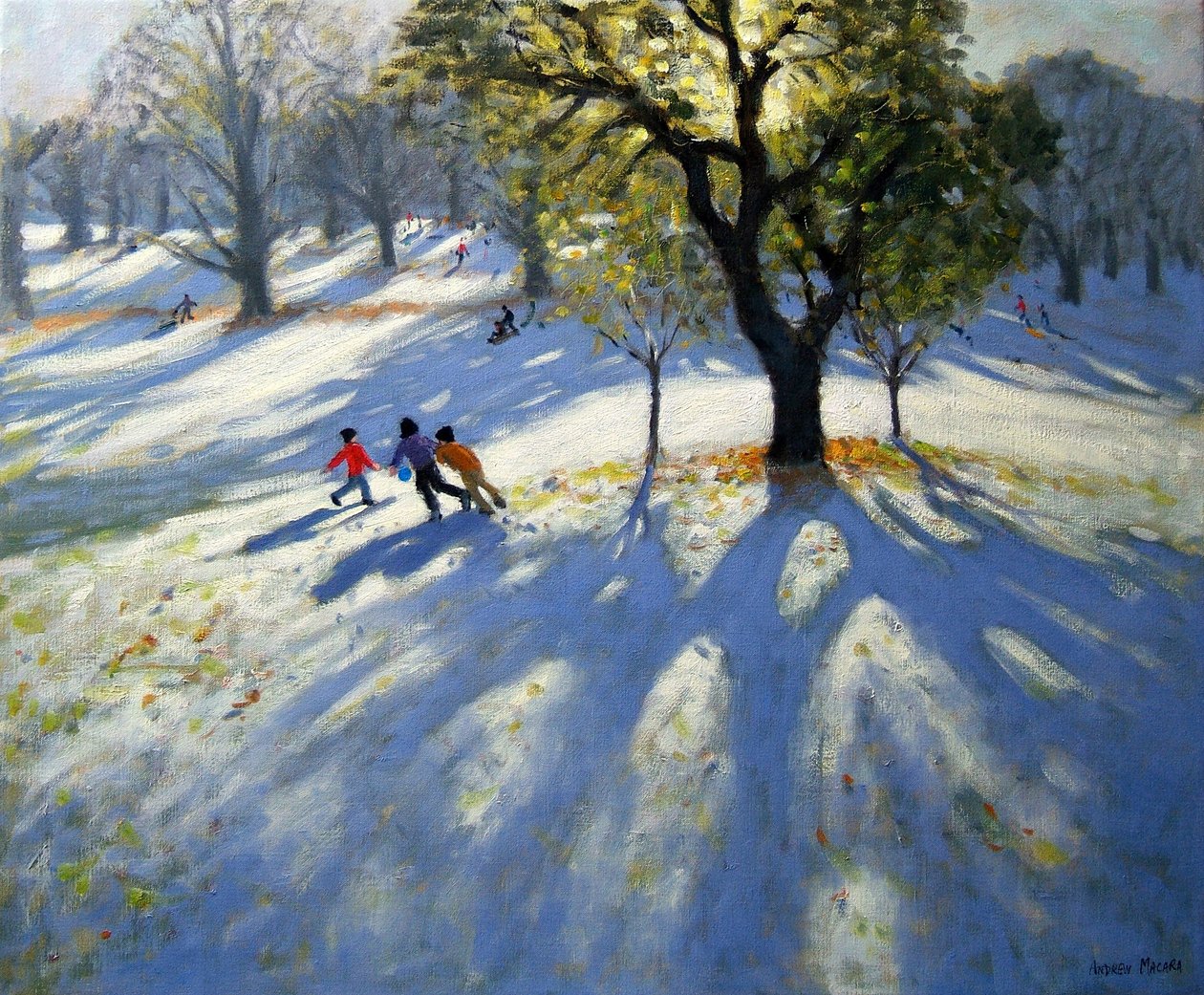 Markeaton Park, tidlig snø av Andrew Macara