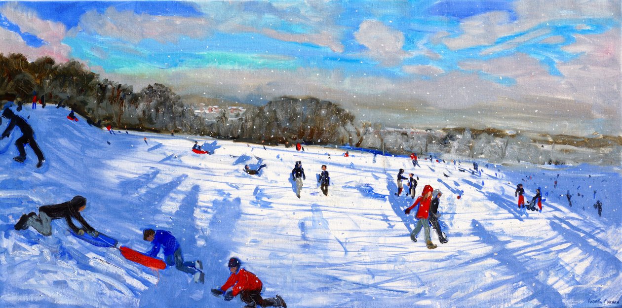 Snøbyger, Allestree Park, Derby. av Andrew Macara
