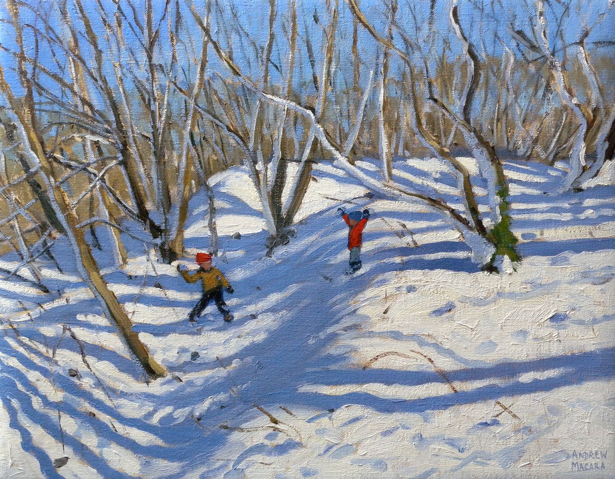 Vårsnø, Newhaven Derbyshire, 2008 av Andrew Macara