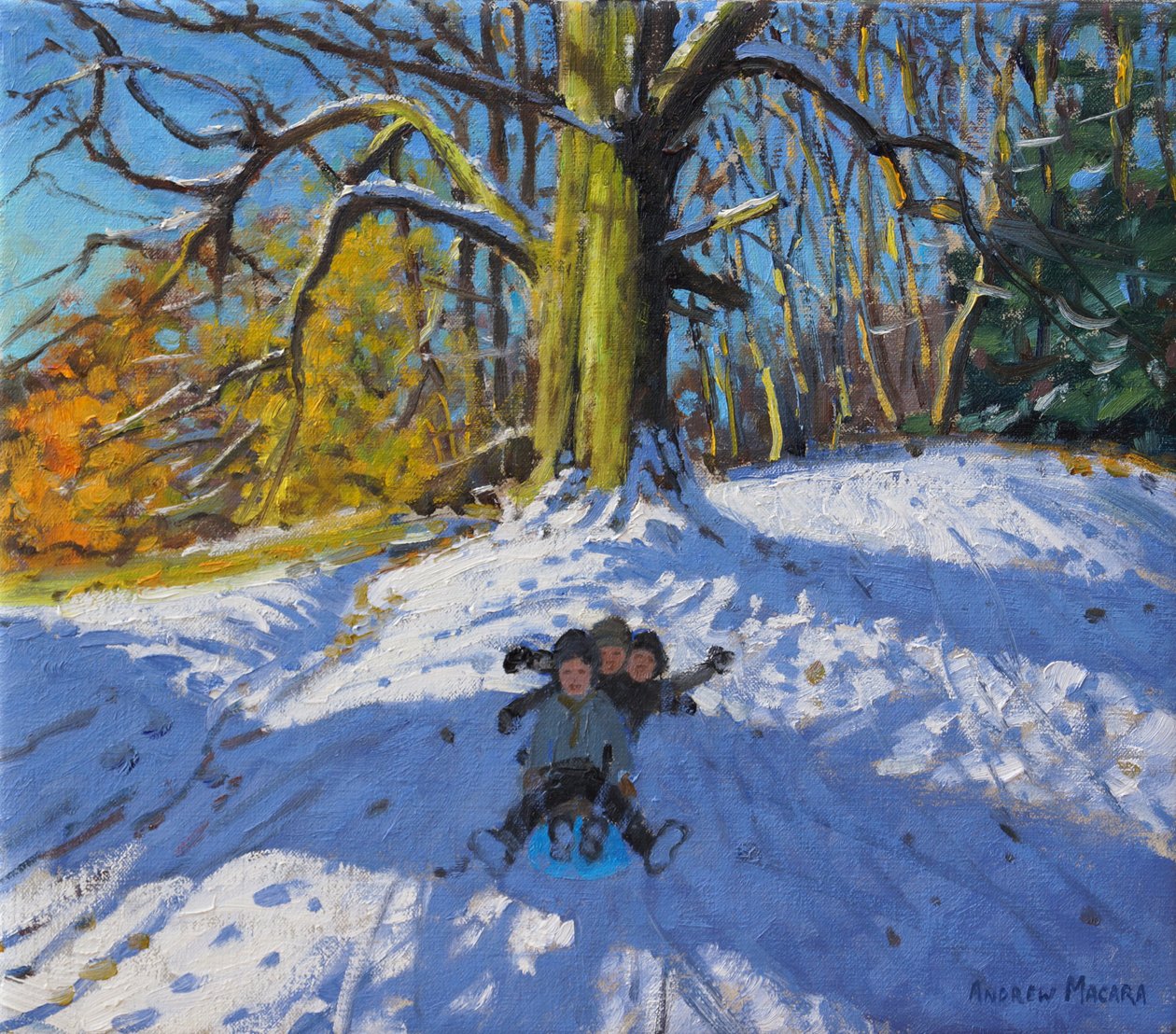Tre på en slede, Allestree Park Derby .2014, av Andrew Macara