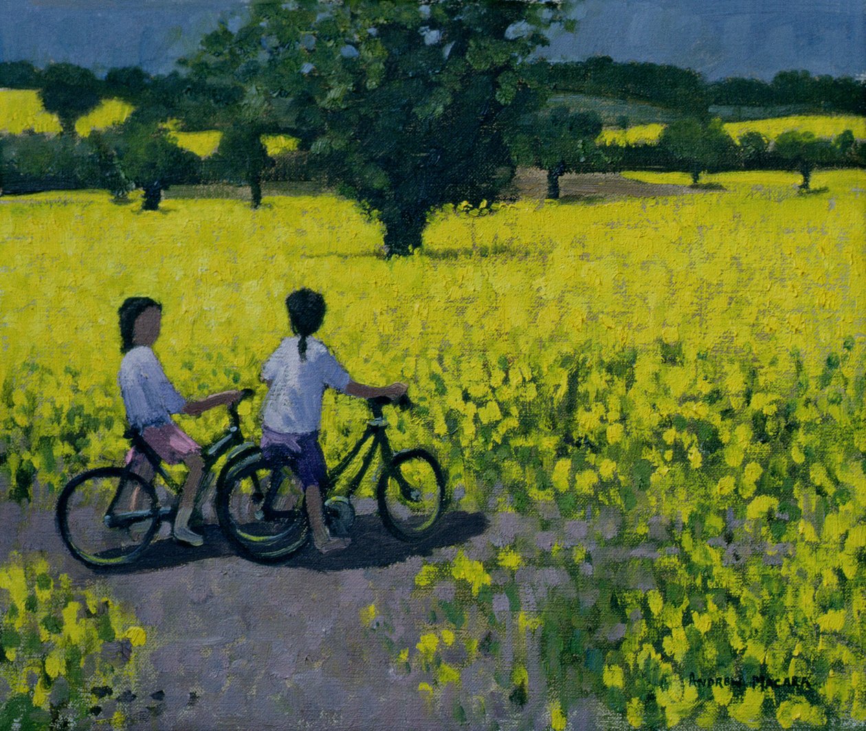 Yellow Field, Kedleston, Derby av Andrew Macara