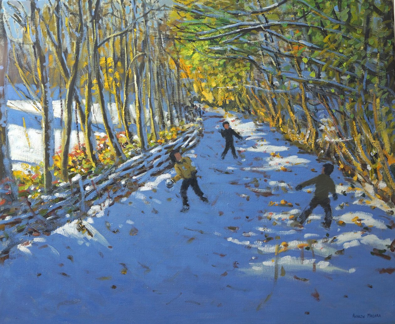 Gule trær, Allestree Park, 2012 av Andrew Macara