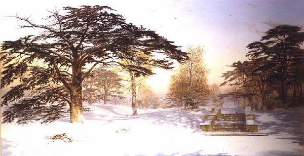 Utråkket snø innen tre mil fra Charing Cross; Holland Park av Andrew MacCallum
