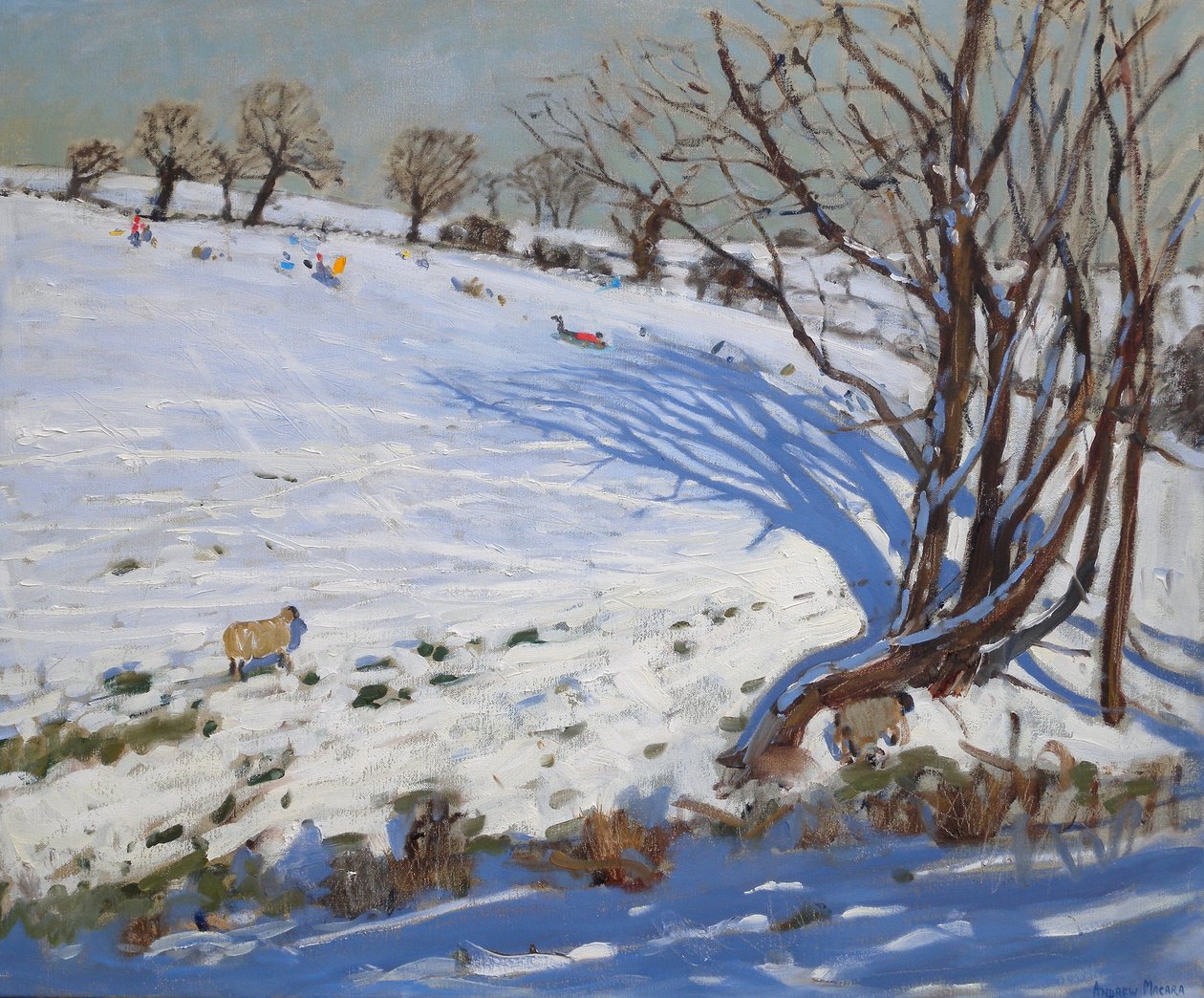  av Andrew Macara