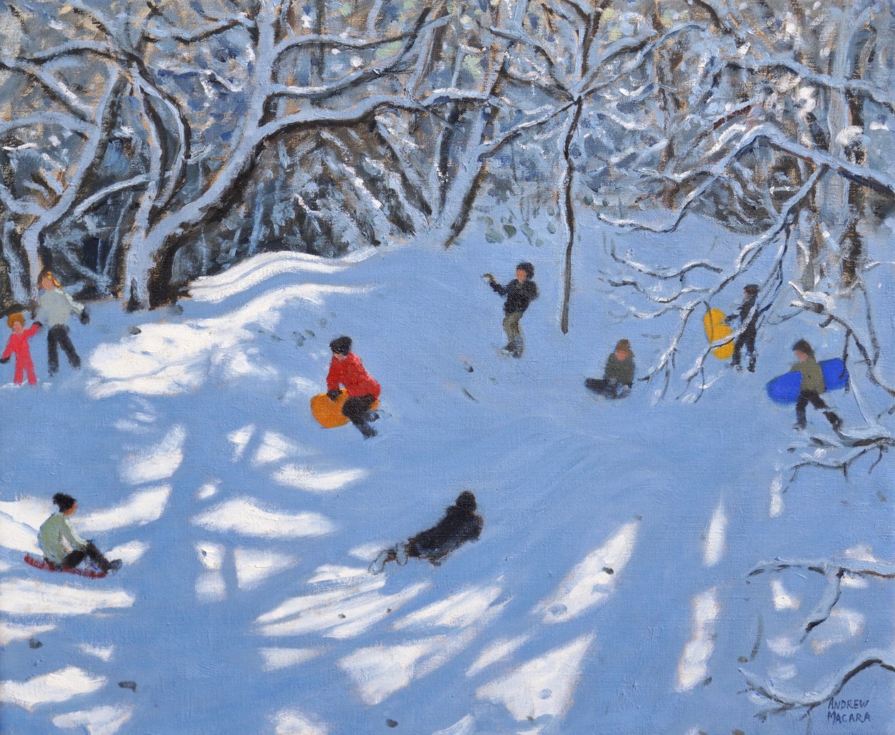 Jul, Allestree Woods, Derby, 2017, av Andrew Macara