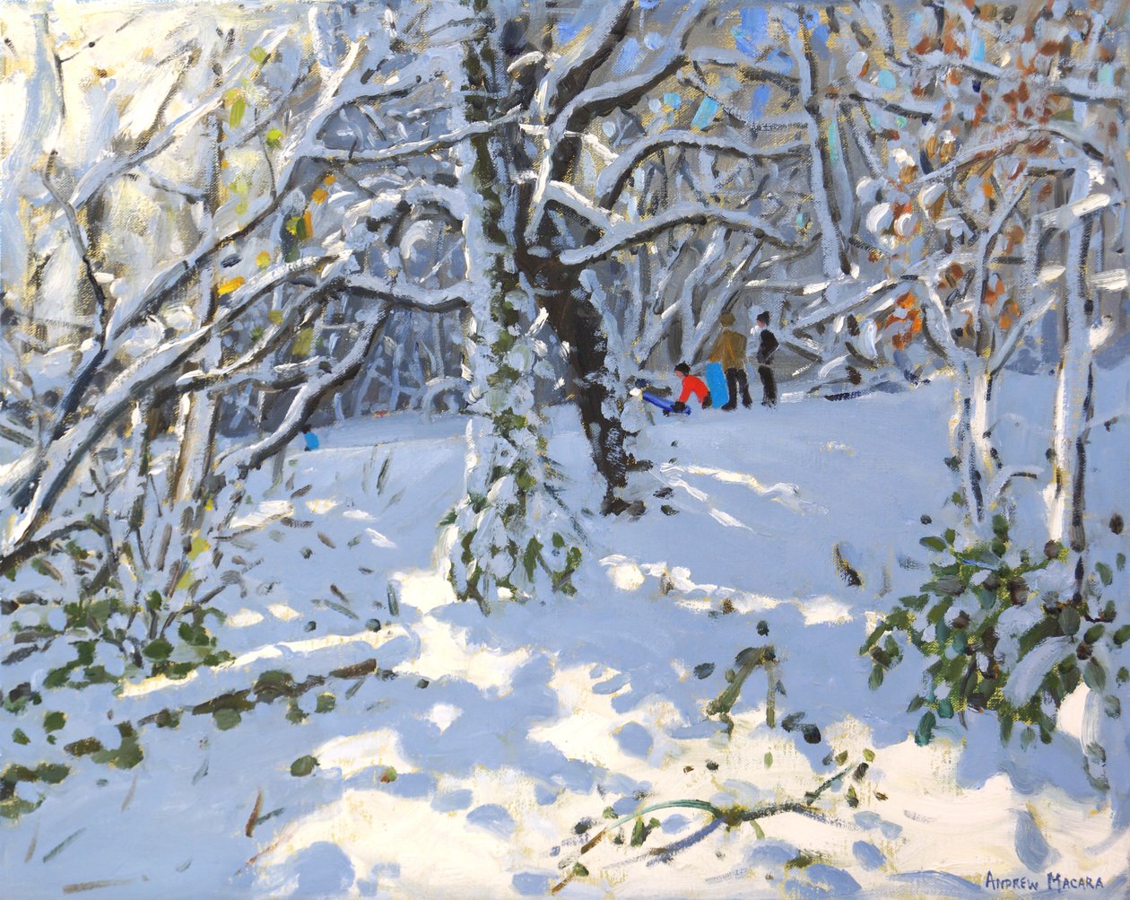Julekjøring i Allestree Woods,16x20,2013 av Andrew Macara