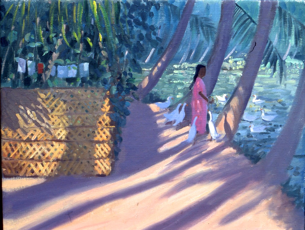  av Andrew Macara