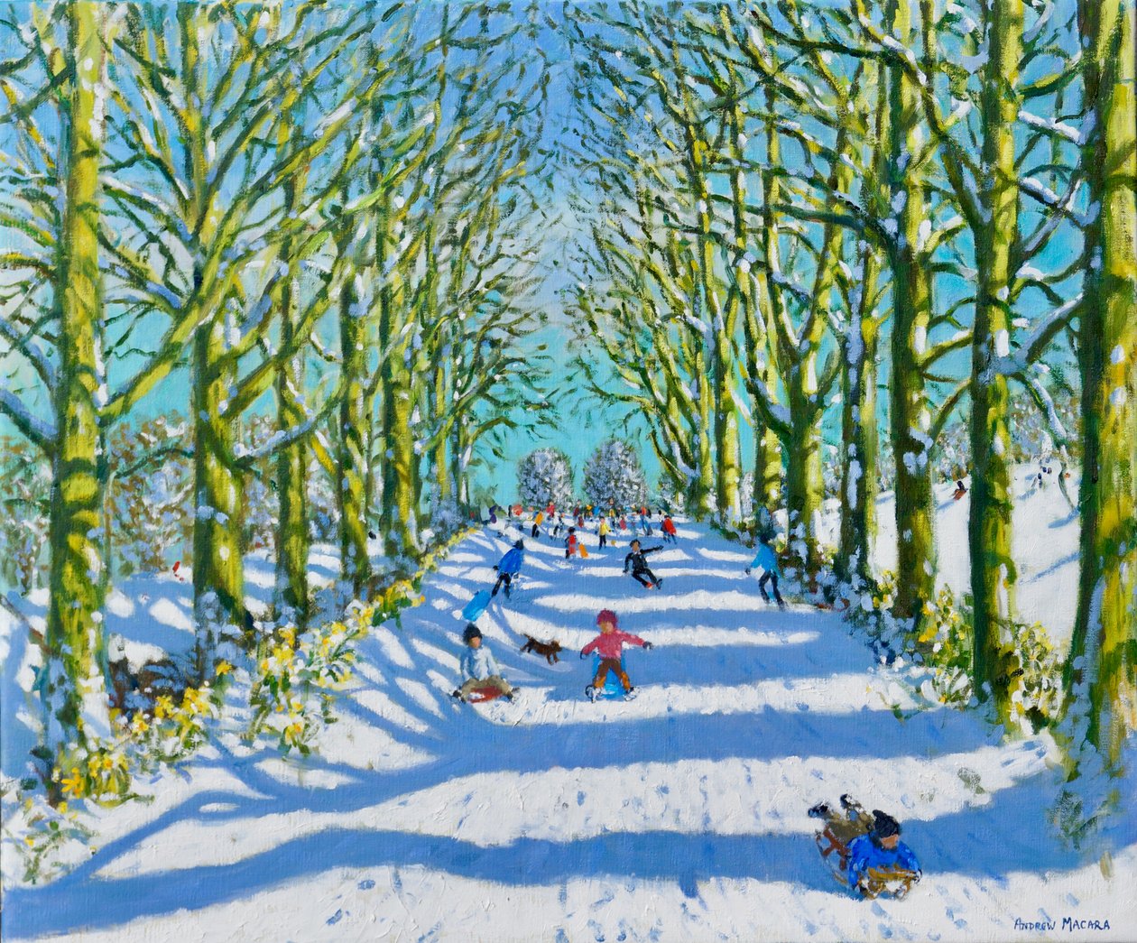 Moro i sol og snø, Derby, 2022 (olje på lerret) av Andrew Macara