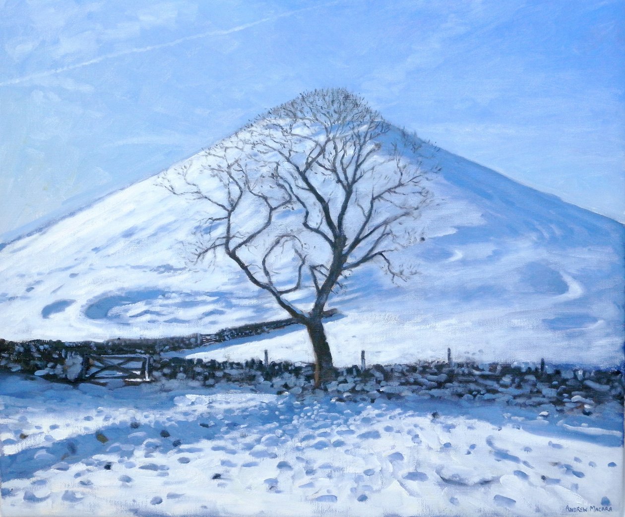 Hill and Tree, Derbyshire, 2008 av Andrew Macara