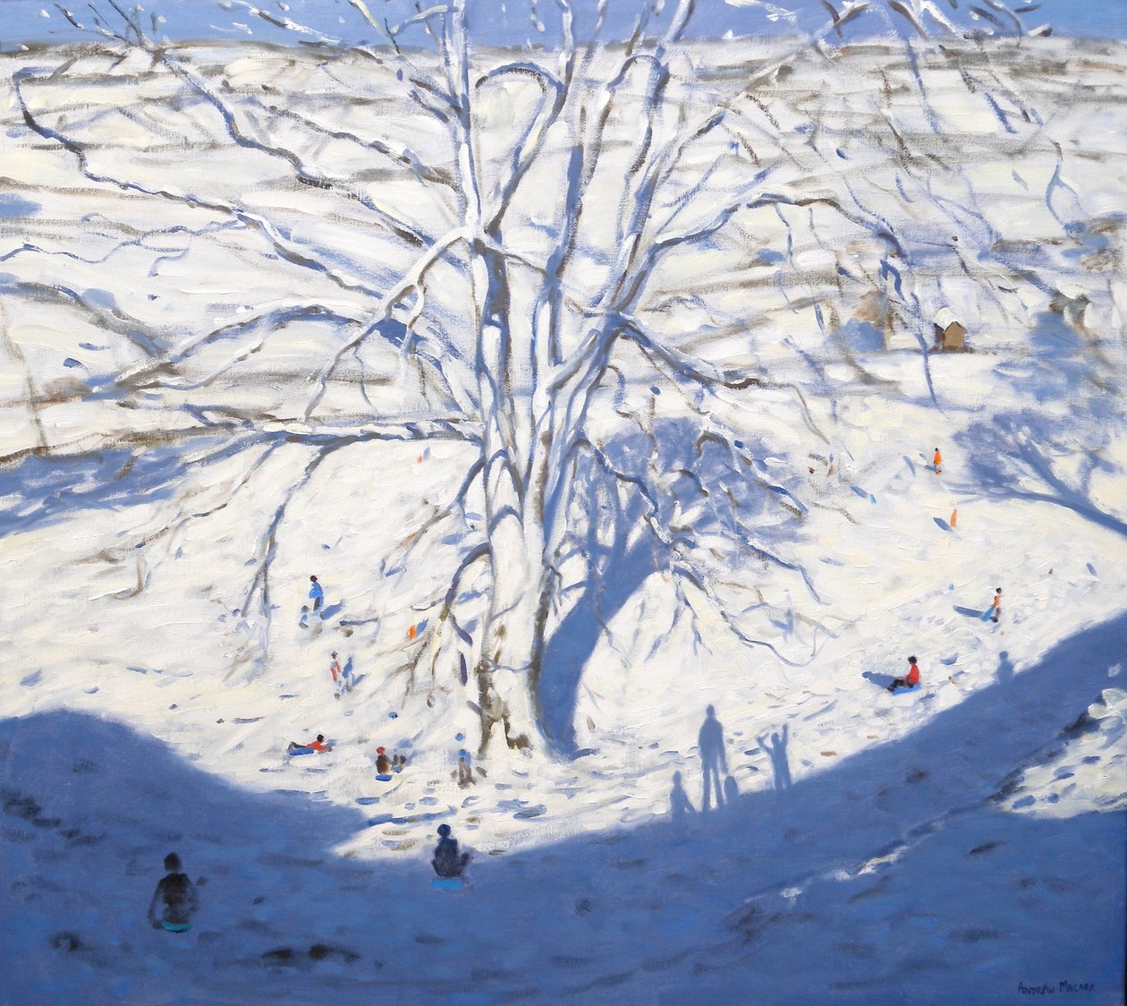 Hillside, Elton nær Rowsley, 2008 av Andrew Macara