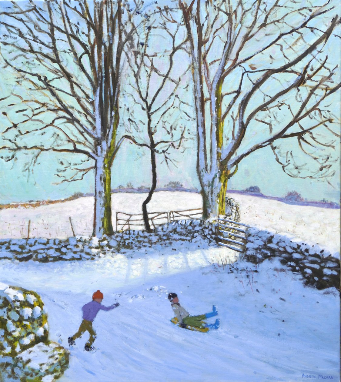  av Andrew Macara