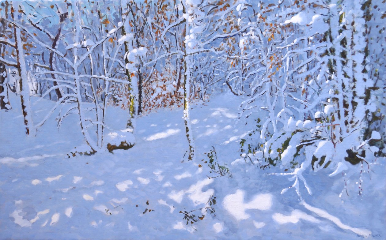 November Snow, Allestree Woods, Derby, (olje på lerret) av Andrew Macara