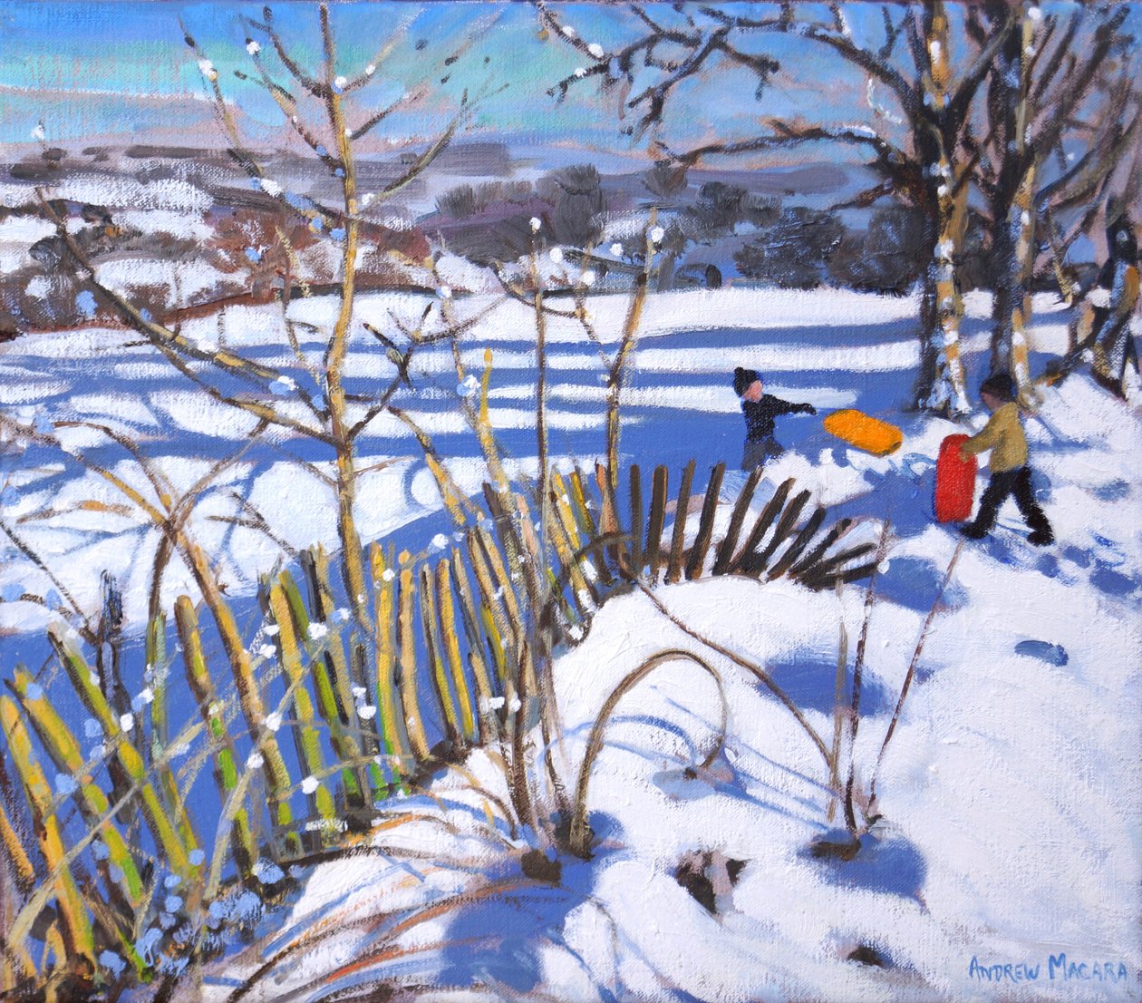 Røde og oransje sleder, Derbyshire, 2017, av Andrew Macara