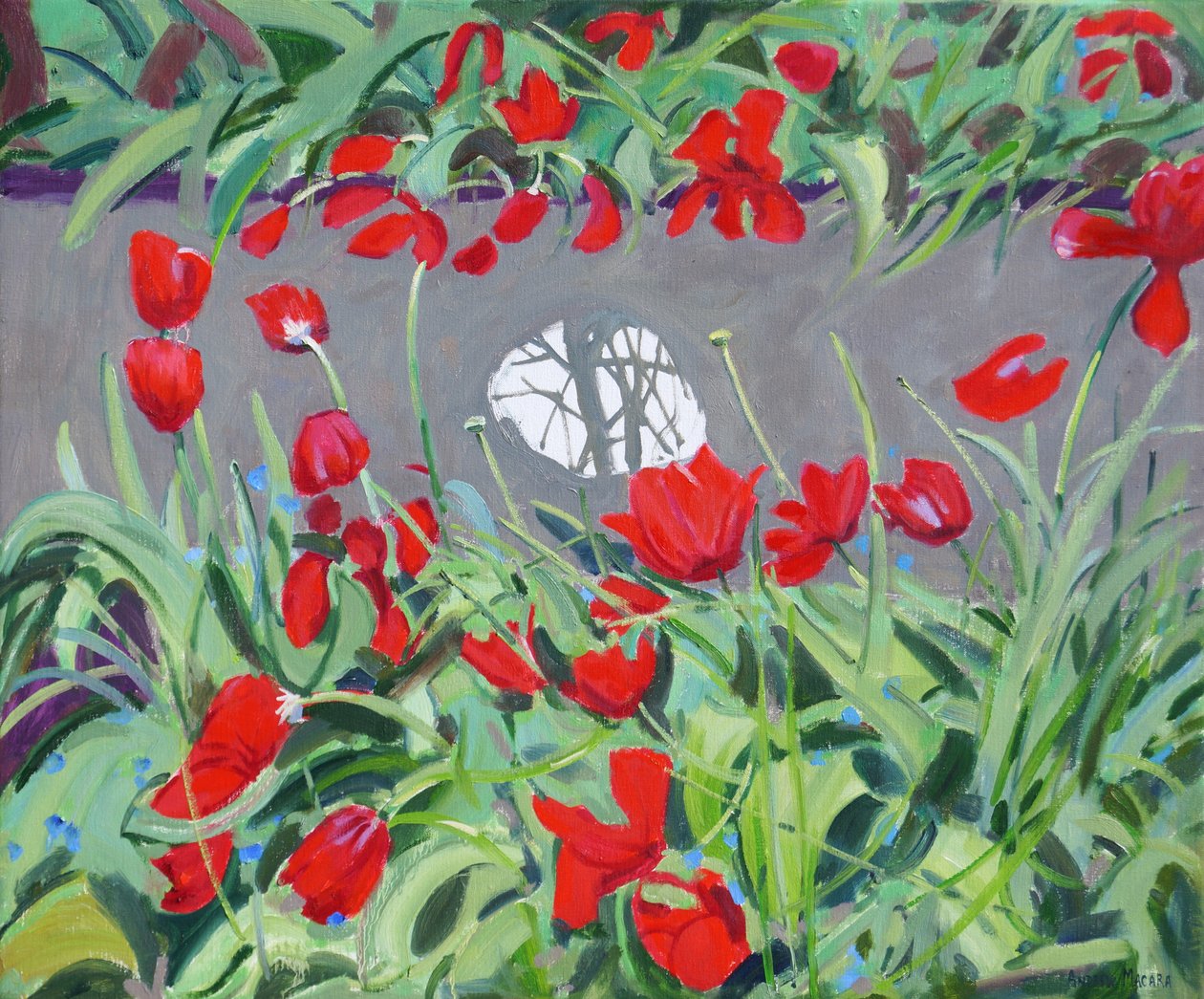 Tulipaner og refleksjon, 2017, av Andrew Macara