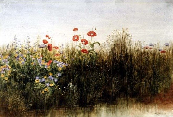 Ville blomster ved en bekk (akvarell) av Andrew Nicholl