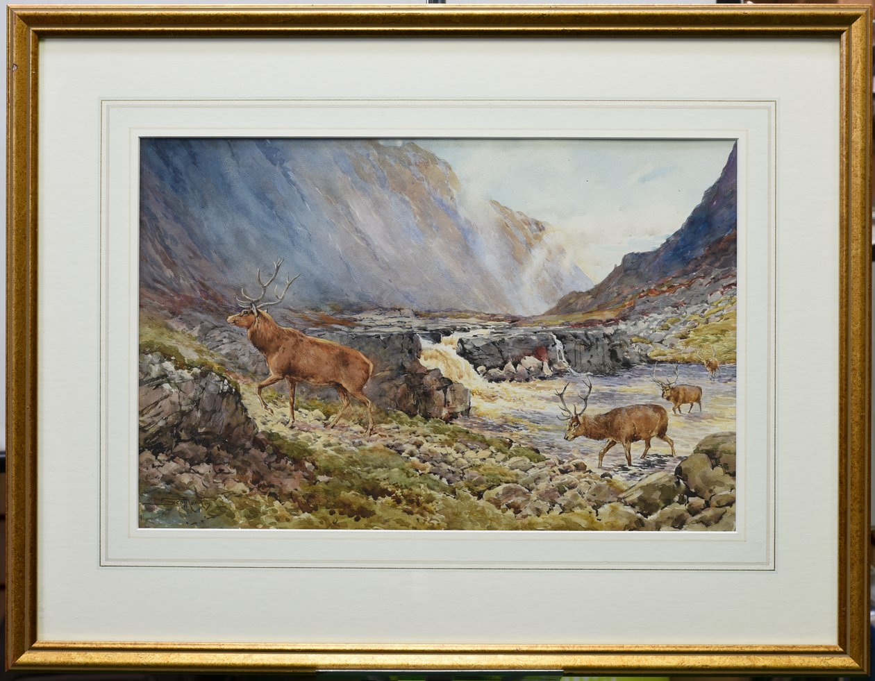 Deer Crossing the River Coe (akvarell på papir) av Andrew Scott Rankin