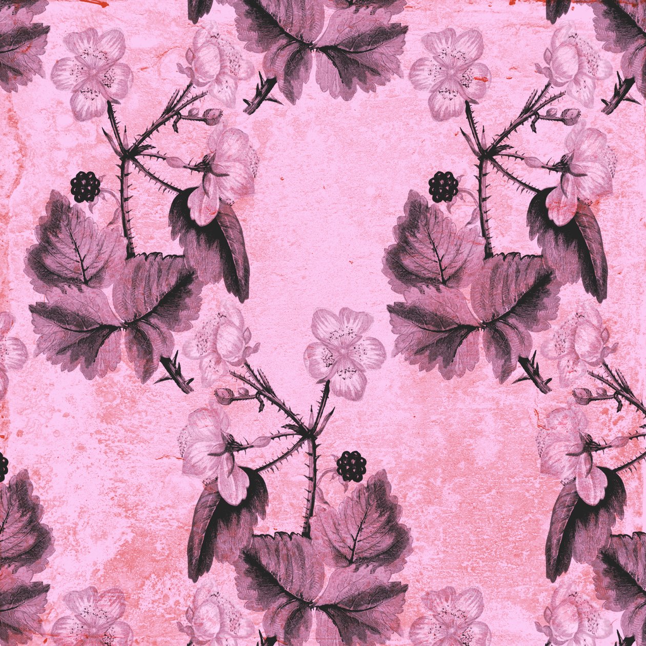Blackberry Floral, 2017, akvarell og digital av Andrew Watson