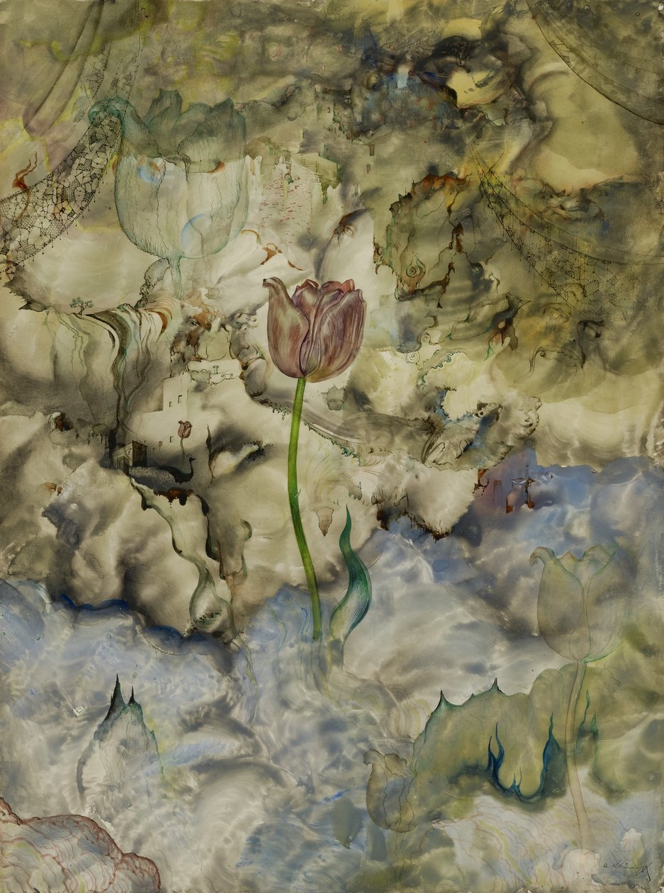  av Andrey Avinoff