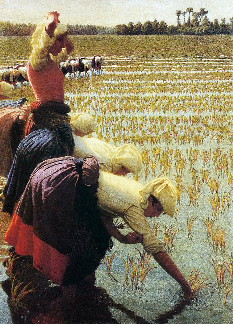 En italiensk rismark, 1901 av Angelo Morbelli