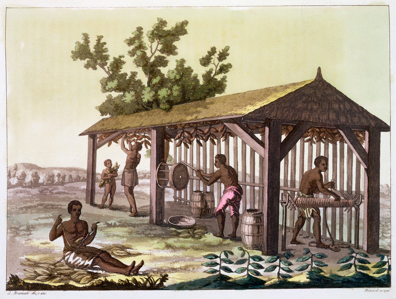Slaver tilbereder tobakk, Virginia, USA. c1790 c1820-1839 av Angelo Biasioli