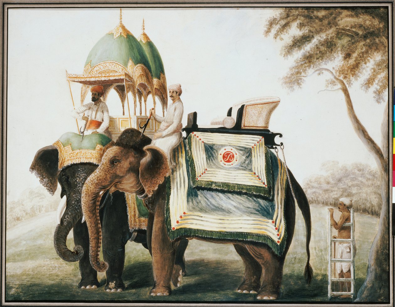 Elefanter med mahout, ca. 1815 av Anglo Indian School