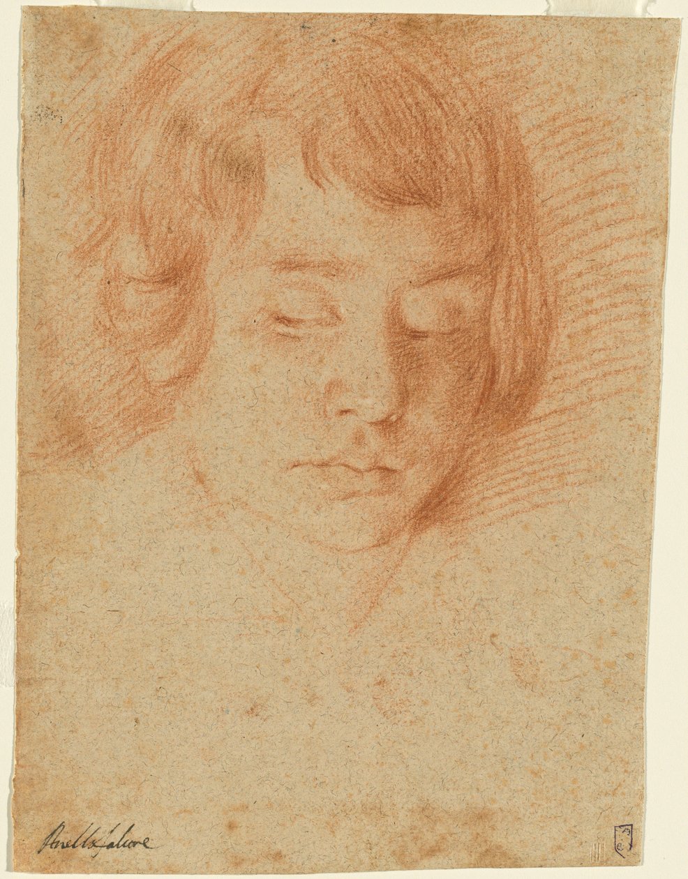 Head of a Boy (Gennaro Falcone?) av Aniello Falcone