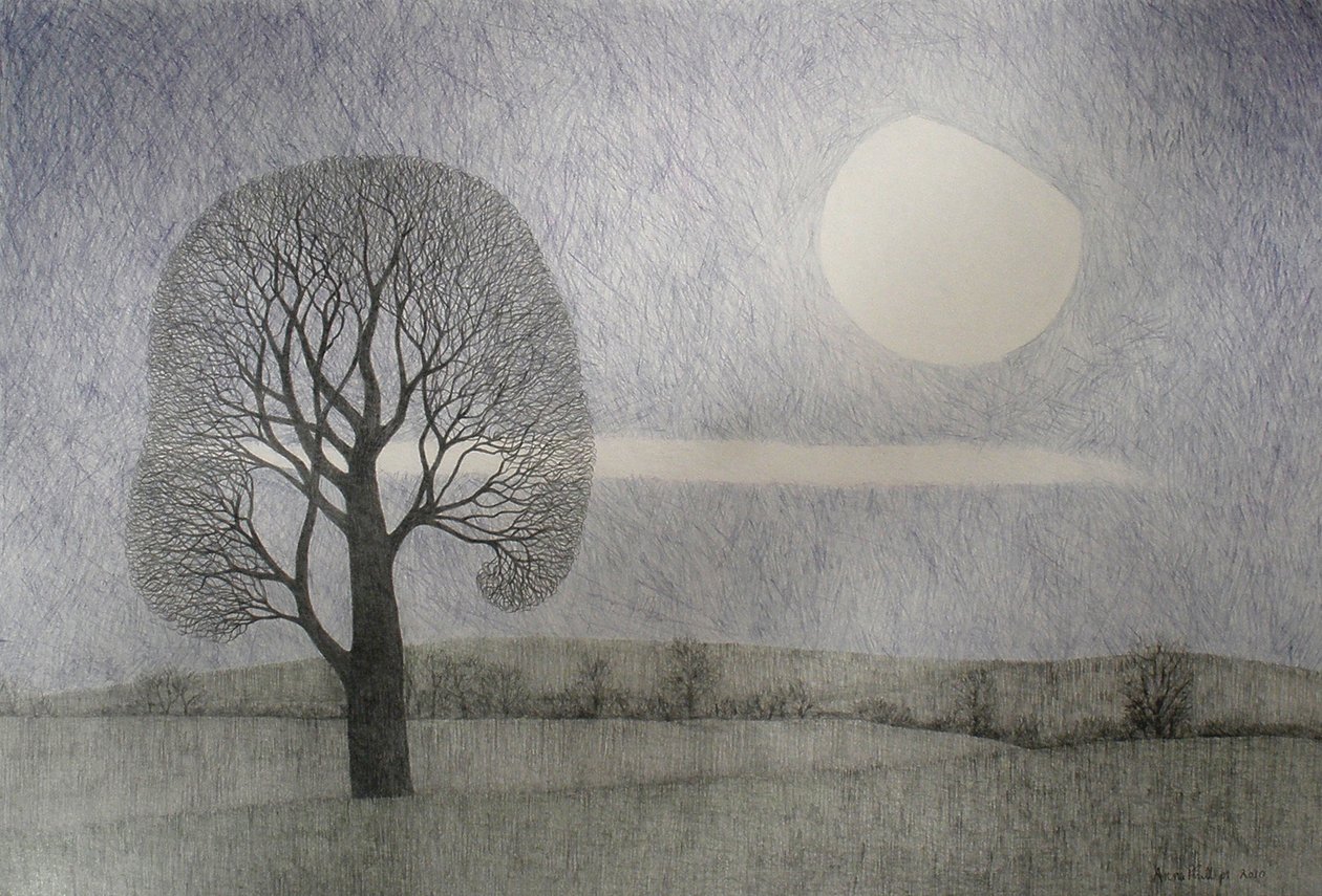 Februarmånen, 2010 (farget blyant på papir) av Anna Phillips