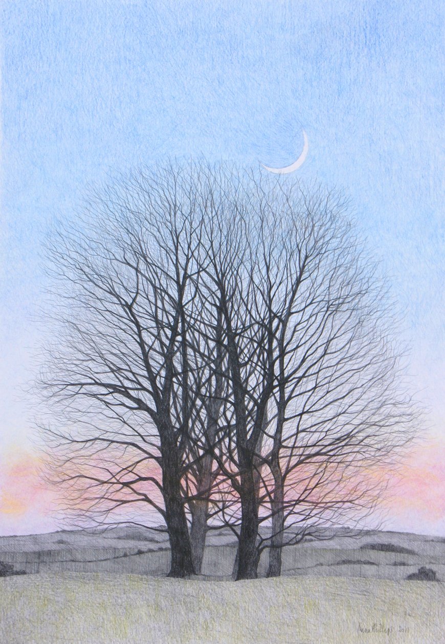 New Moon, 2011 (farget blyant på papir) av Anna Phillips