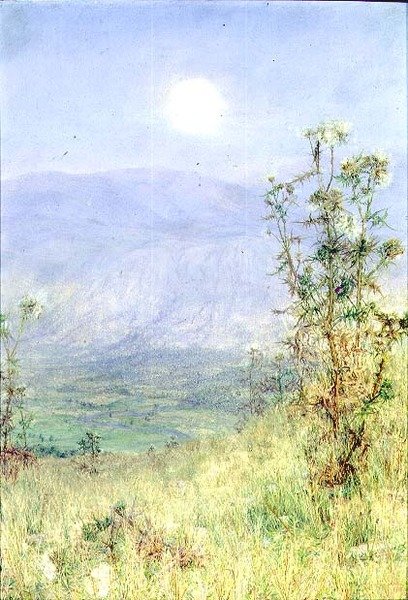 Tomgangshøsten av Anna Alma Tadema