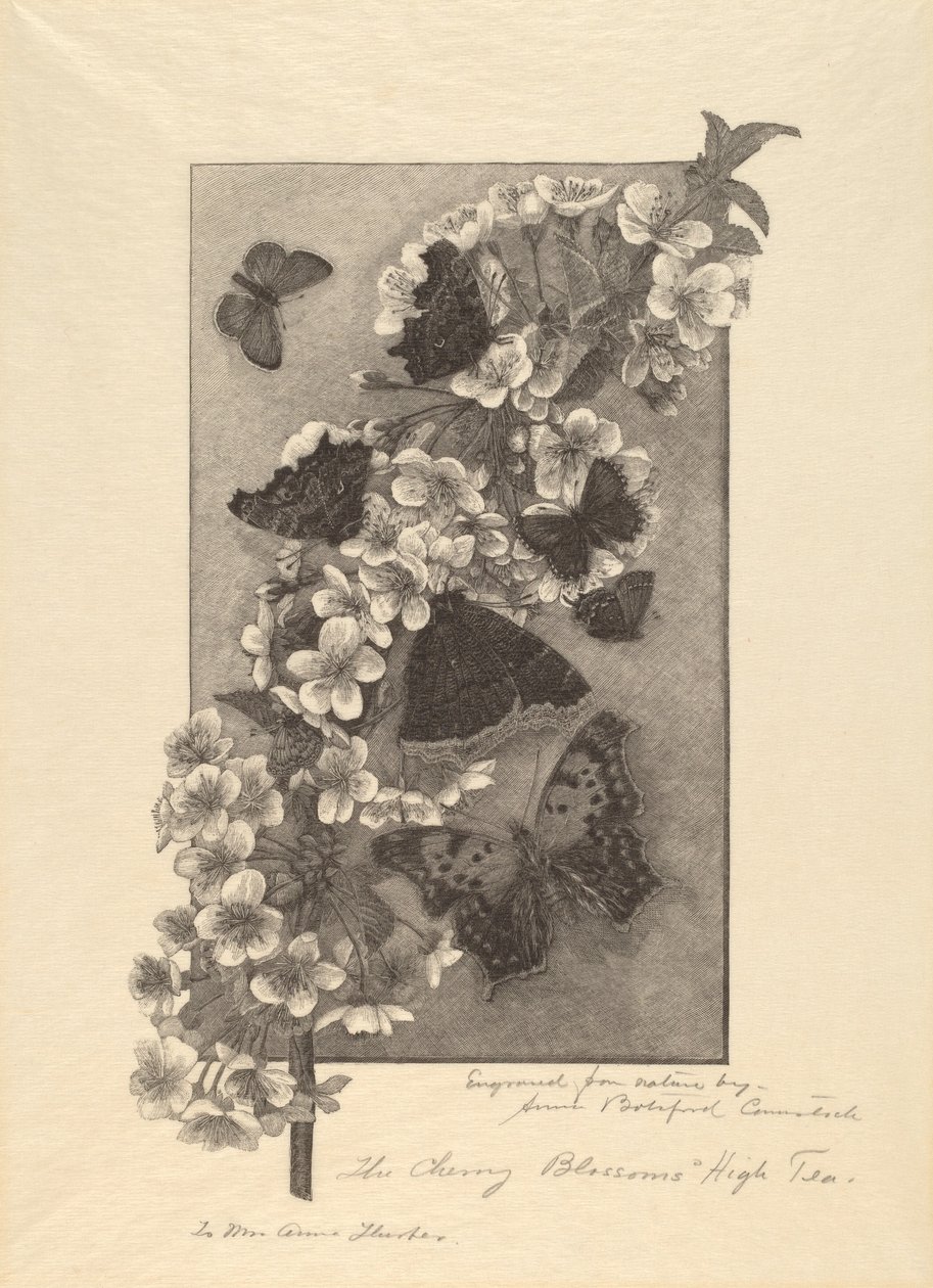 The Cherry Blossoms - High Tea av Anna Botsford Comstock