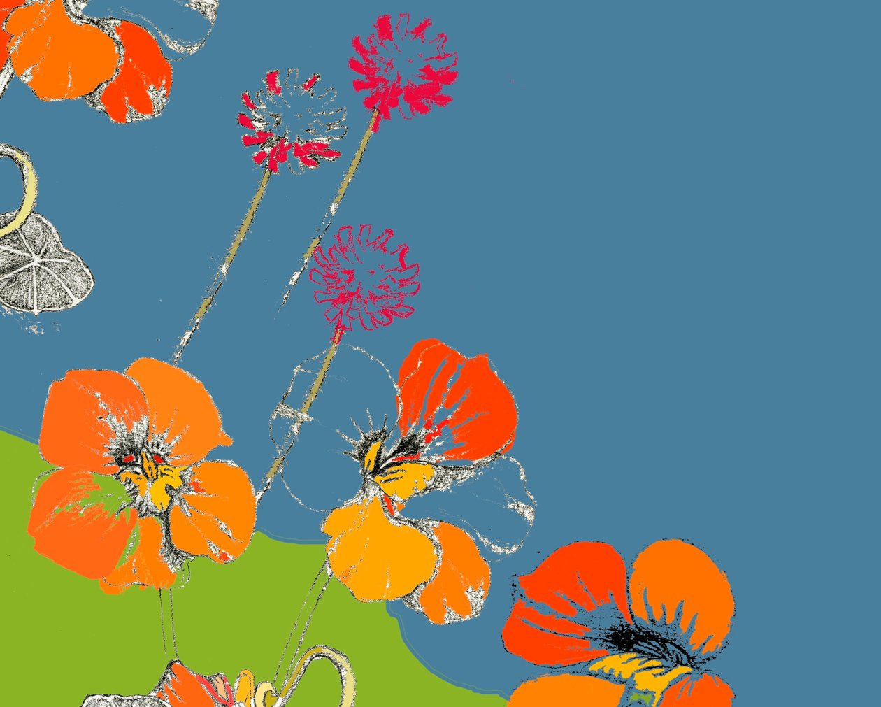 Nasturtium av Anna Platts