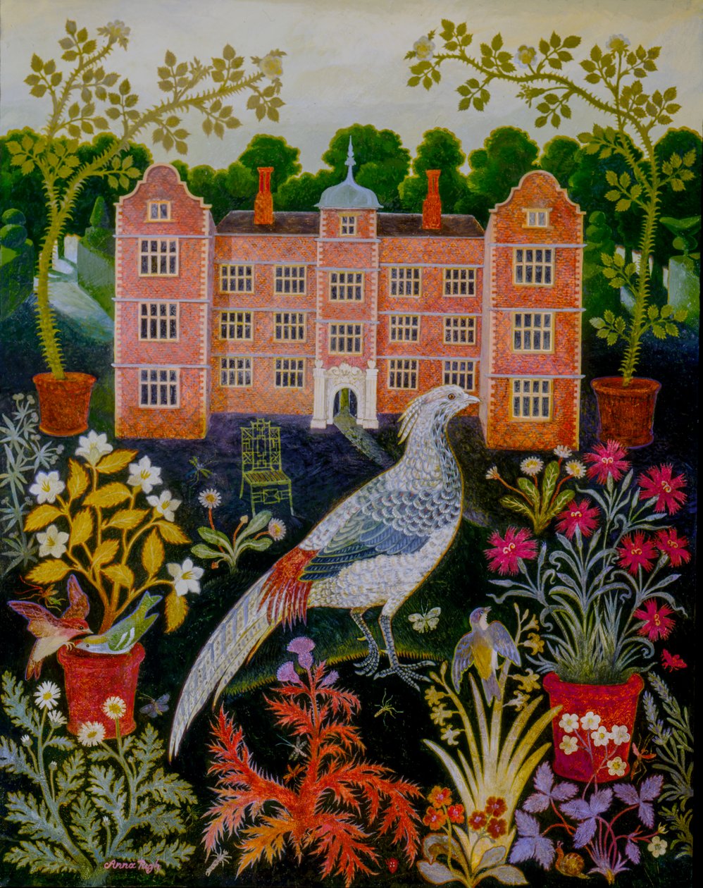 Potteplanter av Anna Pugh